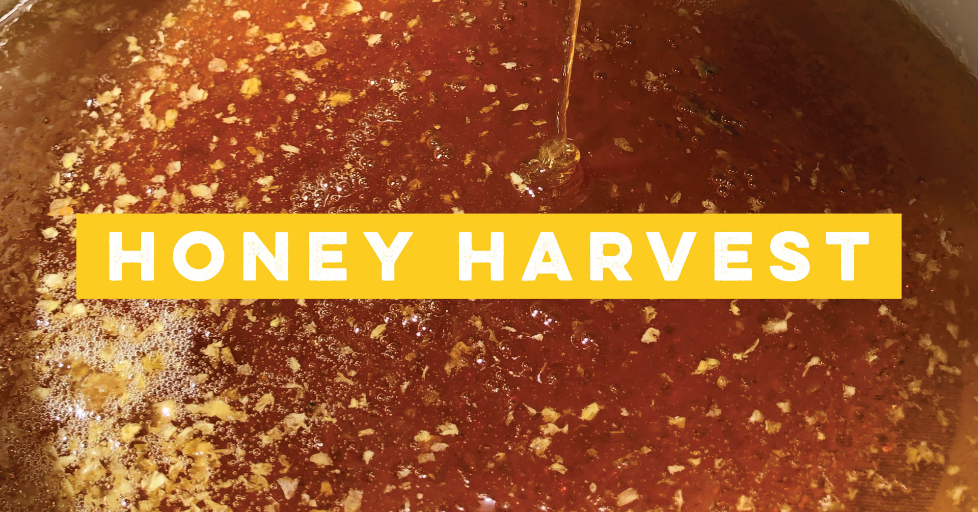 Honey Harvest at the Alameda Marketplace